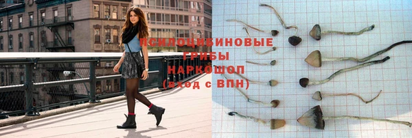 гидропоника Арсеньев