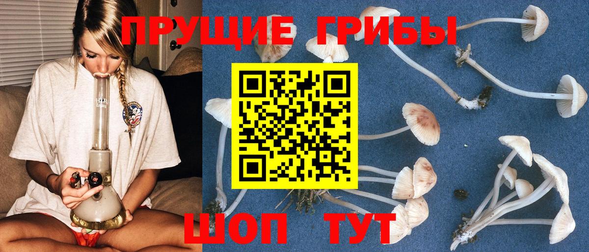 Псилоцибиновые грибы ЛСД Кирово-Чепецк